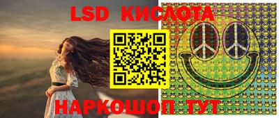 крисы Кунгур