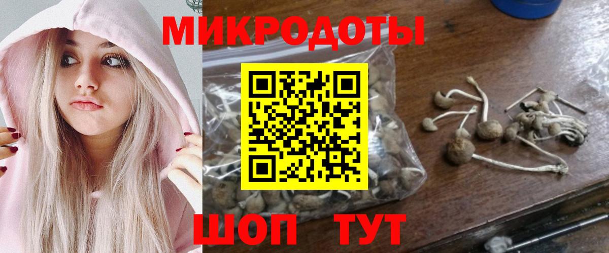 Галлюциногенные грибы MAGIC MUSHROOMS  Галлюциногенные грибы Magic Shrooms  Избербаш  Вход с VPN 